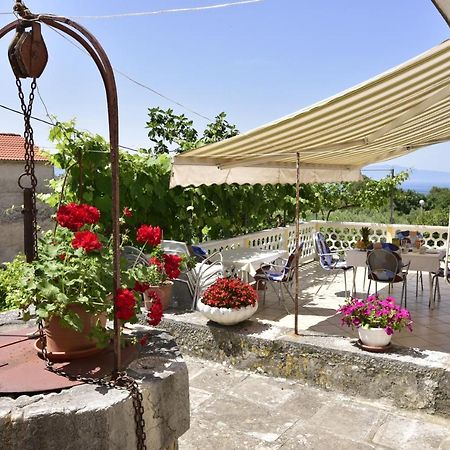 מאלינסקה Guest House Tom מראה חיצוני תמונה